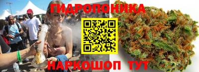 эйфоретик Аша