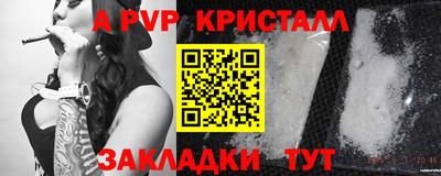 СК Ачхой-Мартан